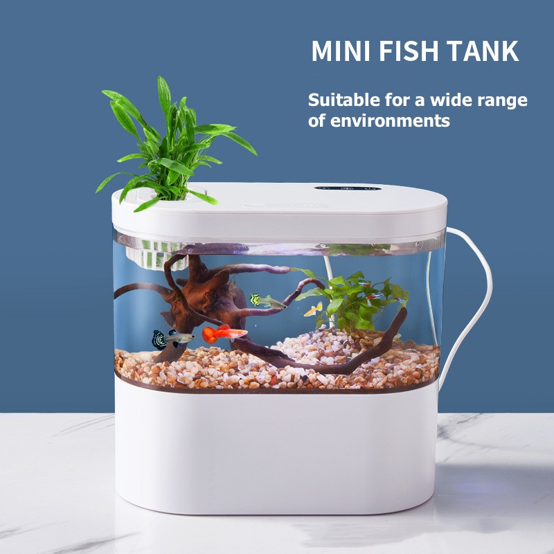 Live Fish Aquarium - Mini Desktop Aquarium Fish Tank with