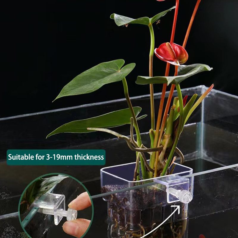 Aquarium Fish Breeding - Multifunctional Fish Aquarium Water Grass Planting