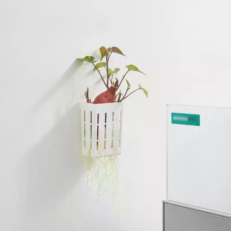 1Pcs Hydroponic Support Basket - огляд і ціна Aquarium Fish Accessories