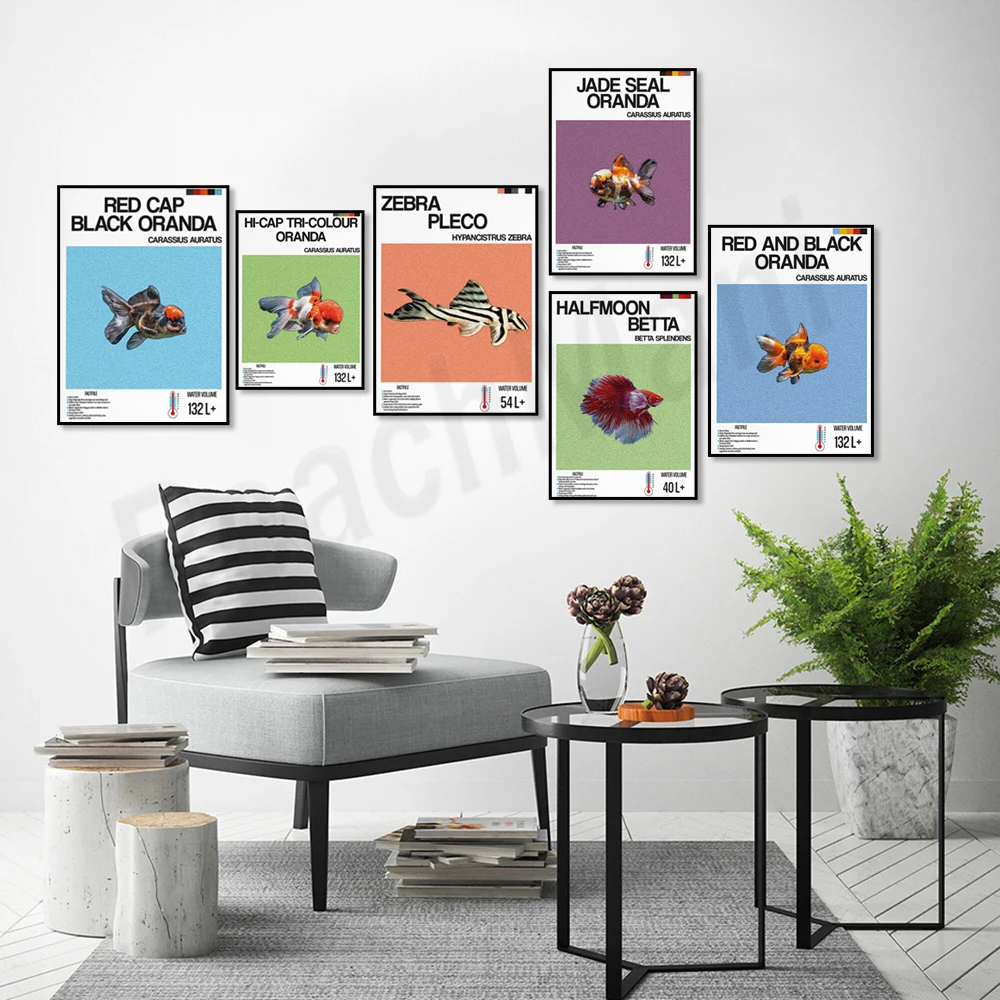 Fish information print, orname - огляд і ціна Aquarium Fish Zebra