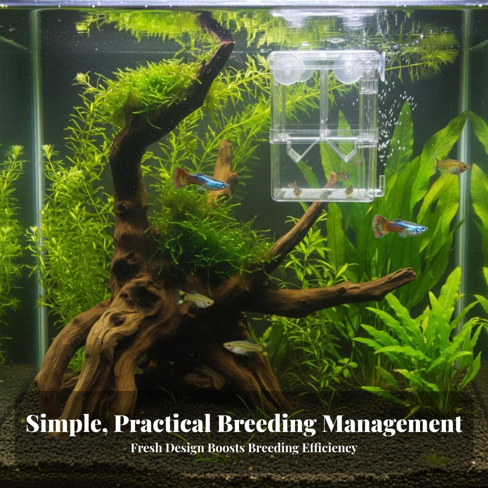 Double Layer Aquarium Breeding - огляд і ціна Aquarium Fish Breeding