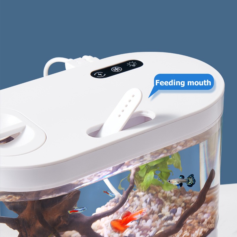 Mini Desktop Aquarium Fish Tan - огляд і ціна Live Fish Aquarium