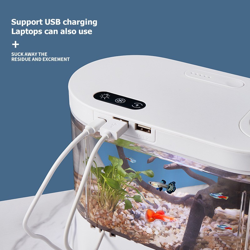 Mini Desktop Aquarium Fish Tan - огляд і ціна Live Fish Aquarium
