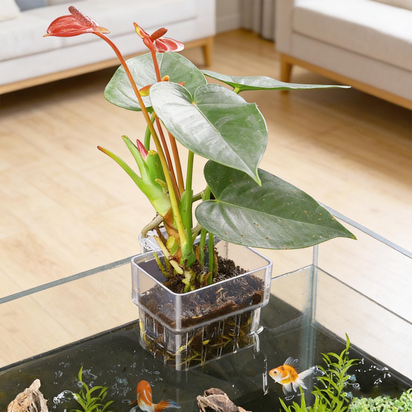 Transparent Hangable Aquarium  - огляд і ціна Aquarium Fish Pot