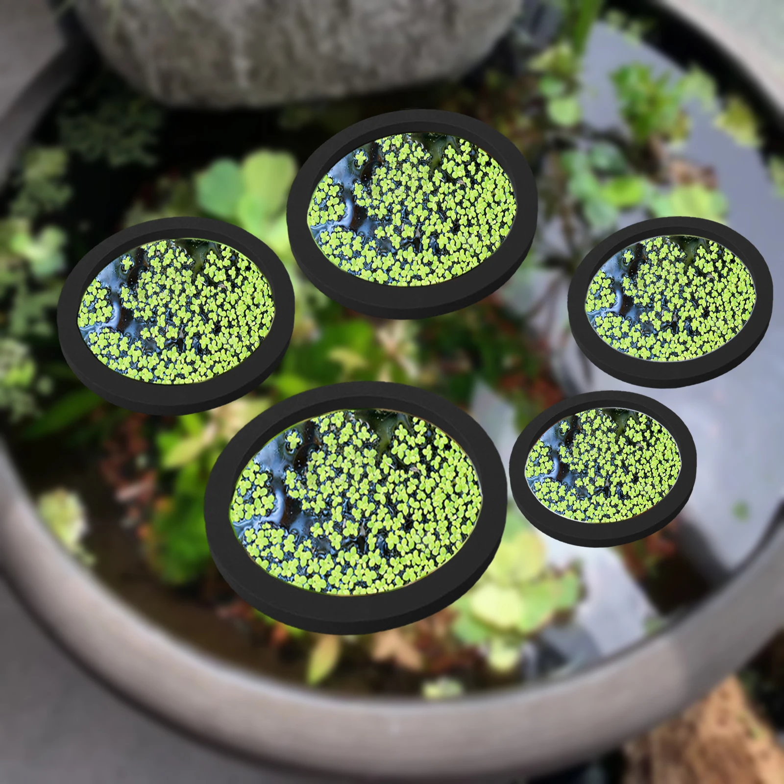 5Pcs EVA Fish Feeding Ring Aqu - огляд і ціна Aquarium Fish Breeding
