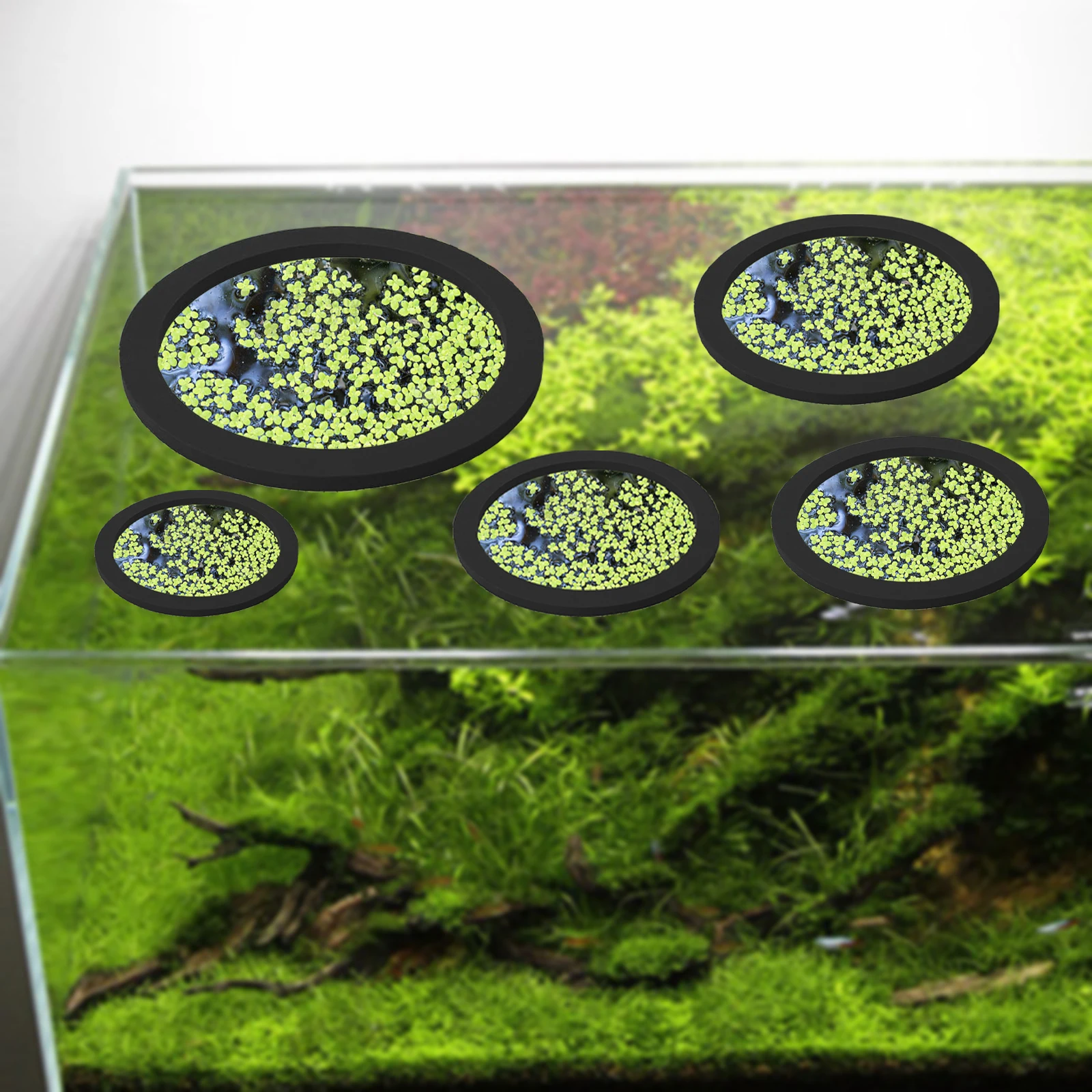 5Pcs EVA Fish Feeding Ring Aqu - огляд і ціна Aquarium Fish Breeding