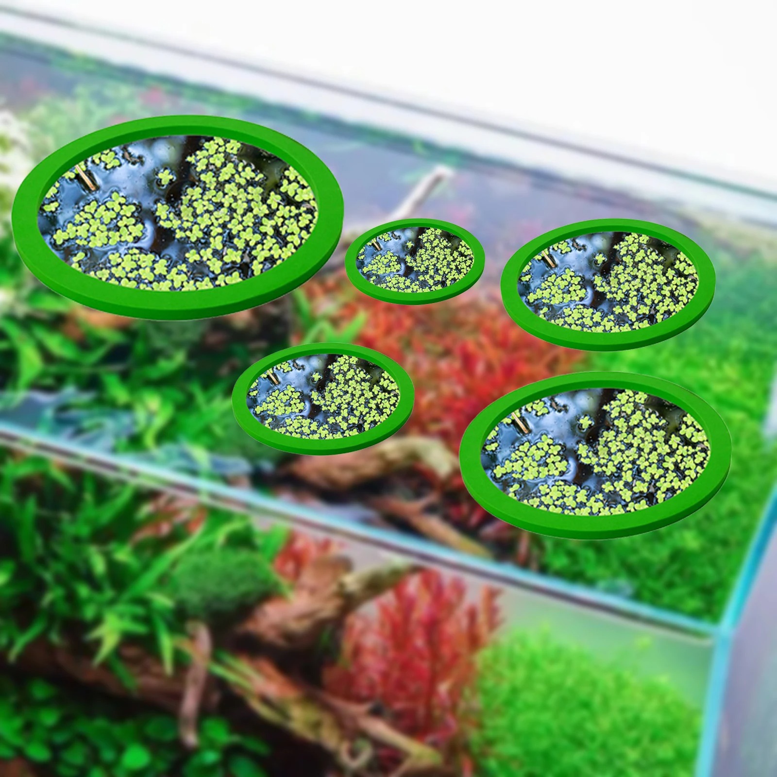 5Pcs EVA Fish Feeding Ring Aqu - огляд і ціна Aquarium Fish Breeding