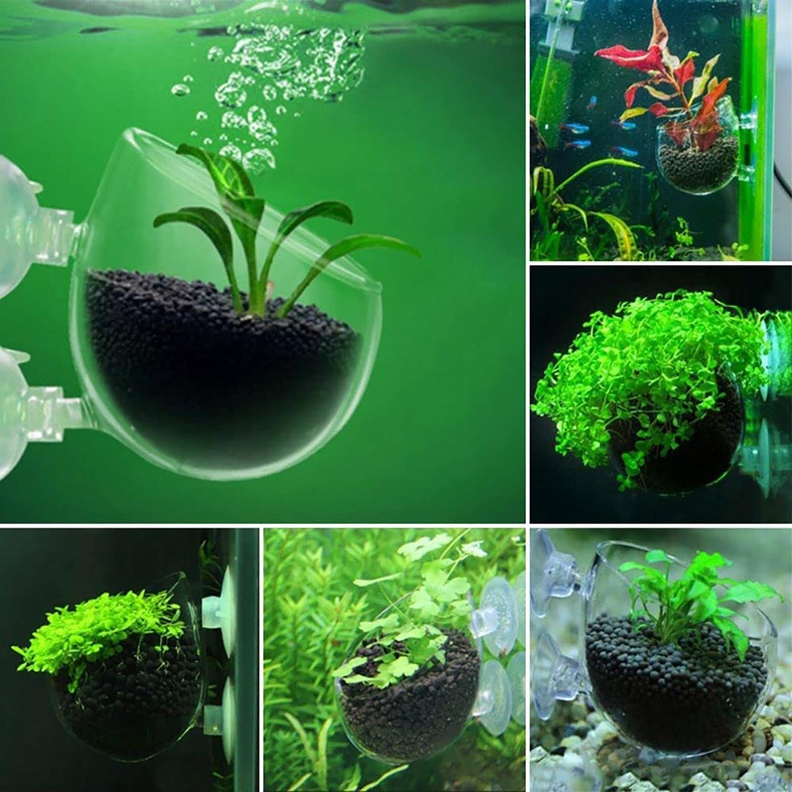 Aquatic Plant Pot Acrylic Aqua - огляд і ціна Aquarium Fish Pot