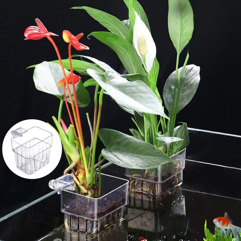 Multifunctional Fish Aquarium  - огляд і ціна Aquarium Fish Breeding