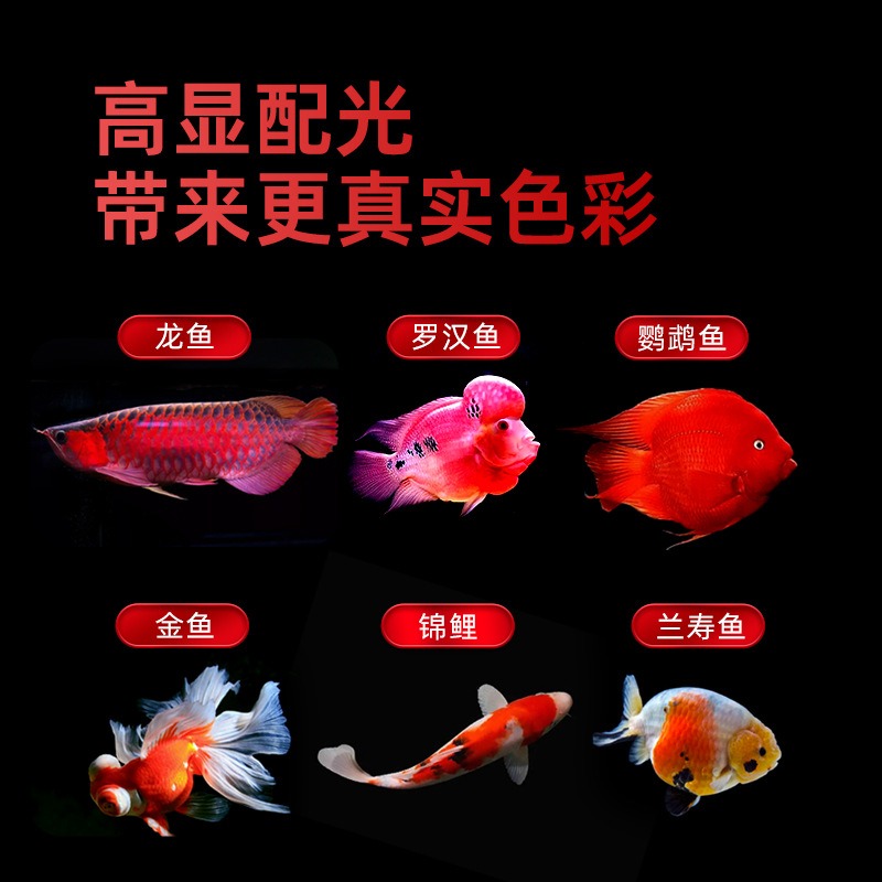 Waterproof Tri‑Color LED Aquar - огляд і ціна Aquarium Fish Parrot