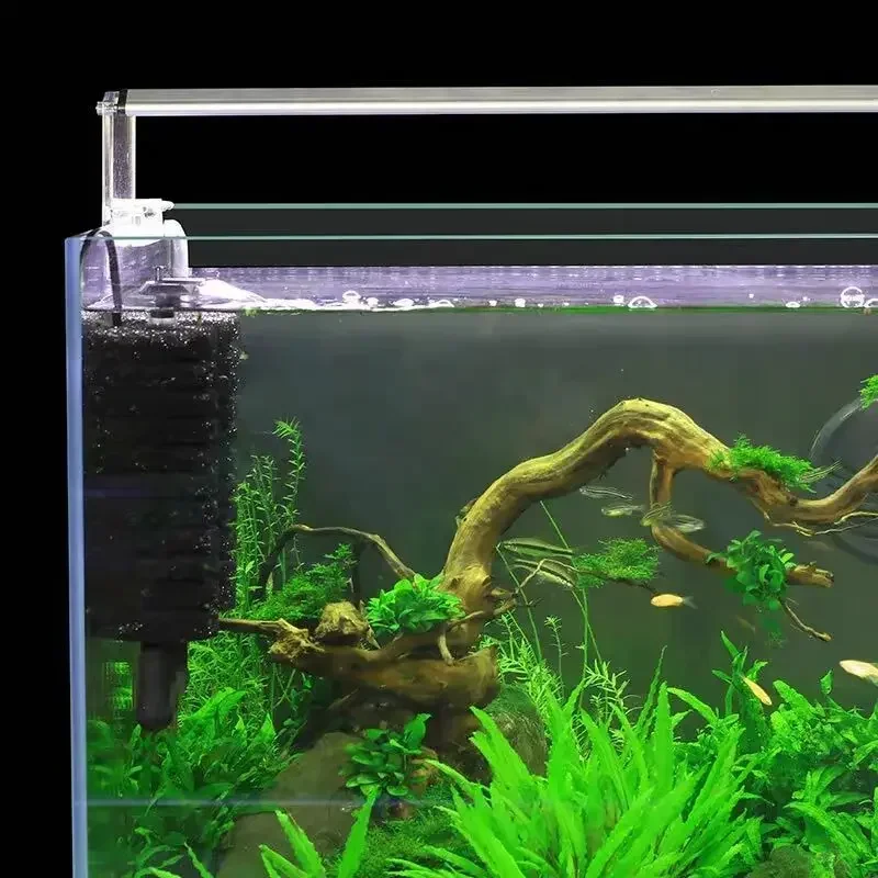 3-IN-1 Clip on Electric Power  - огляд і ціна Aquarium Fish Ball