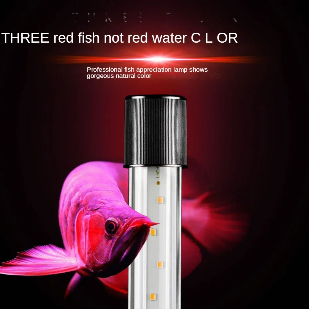 Arowana Lamp, LED Glass Aquari - огляд і ціна Aquarium Fish Parrot